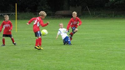 F-Jugendturnier 25.06.2011