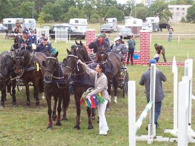Öffentlicher Trainingstag 2006