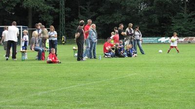 F-Jugendturnier 25.06.2011