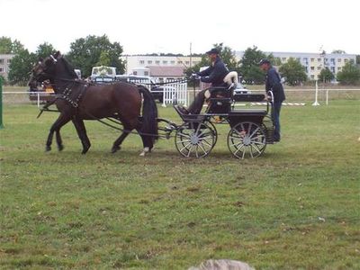 Öffentlicher Trainingstag 2006