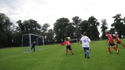 F-Jugendturnier 25.06.2011