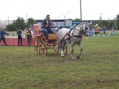 Öffentlicher Trainingstag 2006