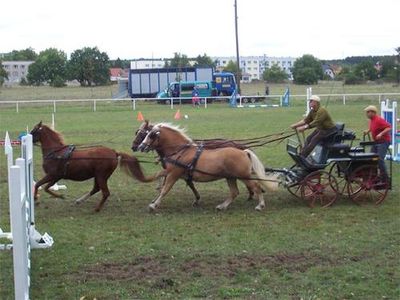 Öffentlicher Trainingstag 2006