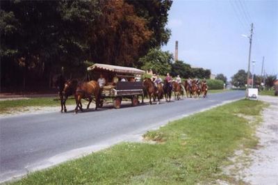 Öffentlicher Trainingstag 2005
